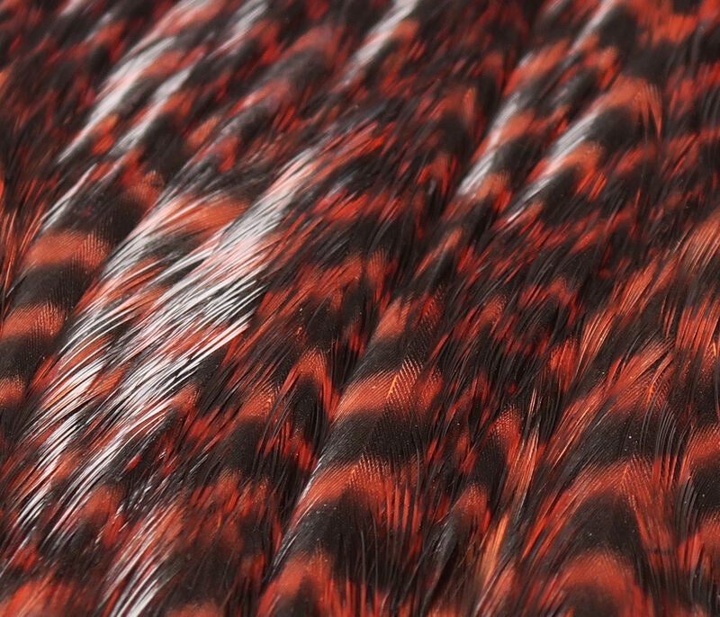 HARELINE HEN CAPE
