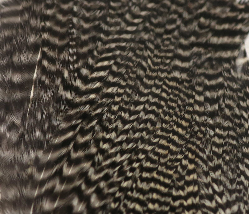 HARELINE HALF ROOSTER COCK CAPE