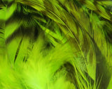 HARELINE STRUNG SADDLE HACKLE 4-6 INCH