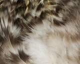 HARELINE STRUNG SADDLE HACKLE 4-6 INCH