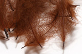 HARELINE CDC