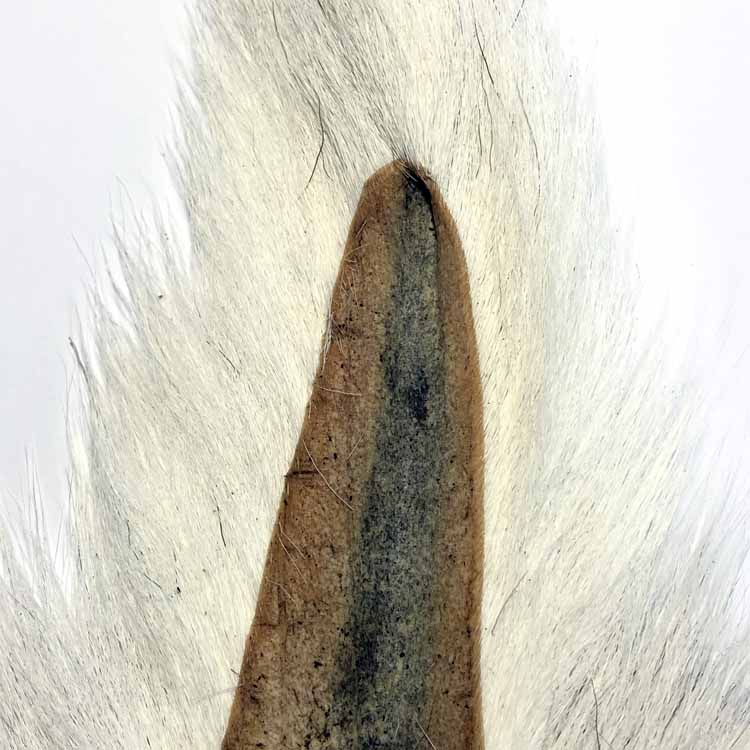 H2O BUCKTAIL