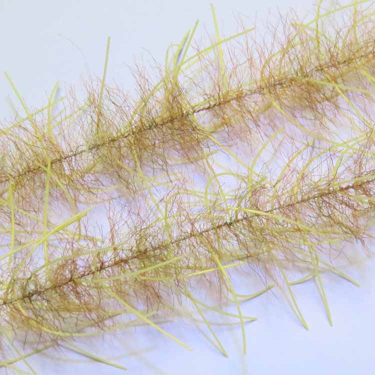H2O LIVELY LEGS CRUSTACEAN BRUSH 1"
