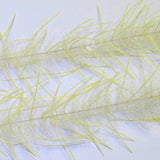 H2O LIVELY LEGS CRUSTACEAN BRUSH 1"