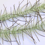 H2O LIVELY LEGS CRUSTACEAN BRUSH 1"