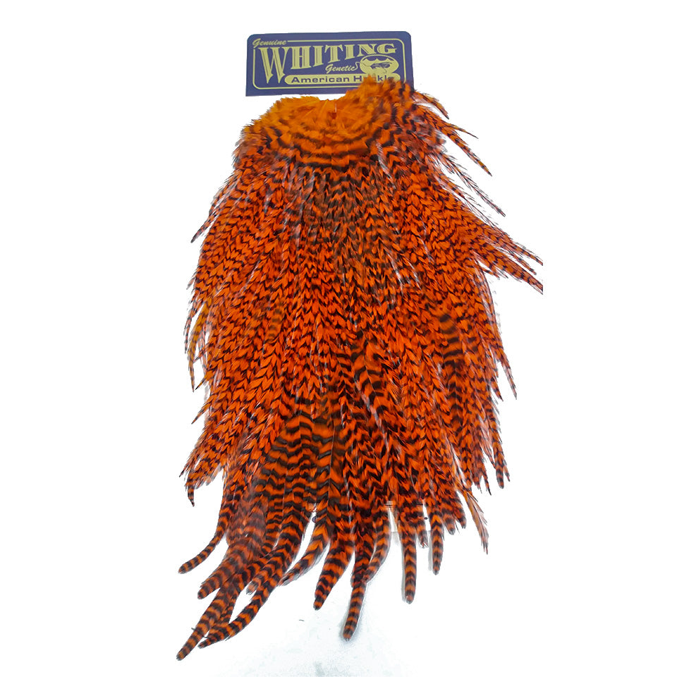 WHITING AMERICAN ROOSTER SADDLE HACKLE