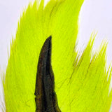 H2O BUCKTAIL