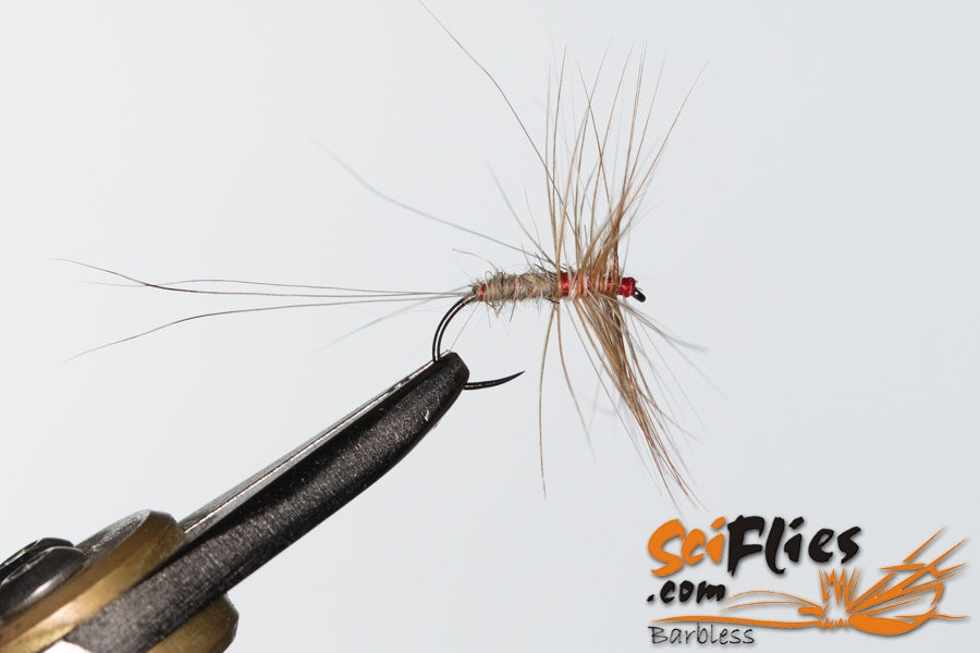 SCI FLIES RAB BARBLESS - 3 PACK