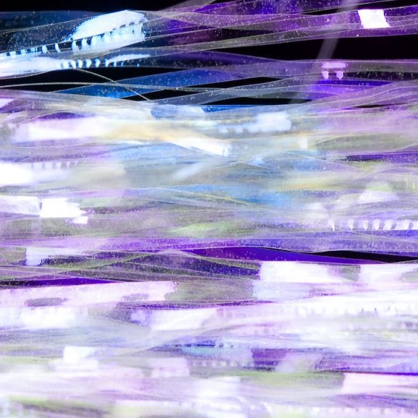 HEDRON SALTWATER FLASHABOU