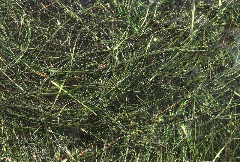 HARELINE 8 INCH ICE WING FIBER
