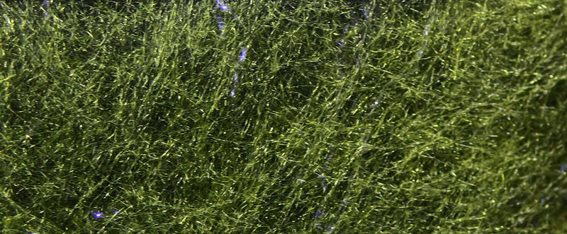 FLY FISH FOOD BRUISER BLEND JNR