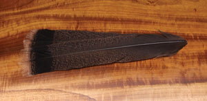 HARELINE CINNAMON TIP TURKEY TAIL FEATHERS