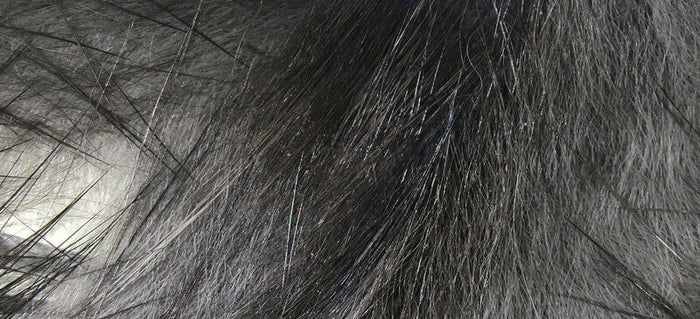 HARELINE CROSSCUT RABBIT STRIPS