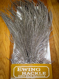 EWING DRY FLY SADDLES