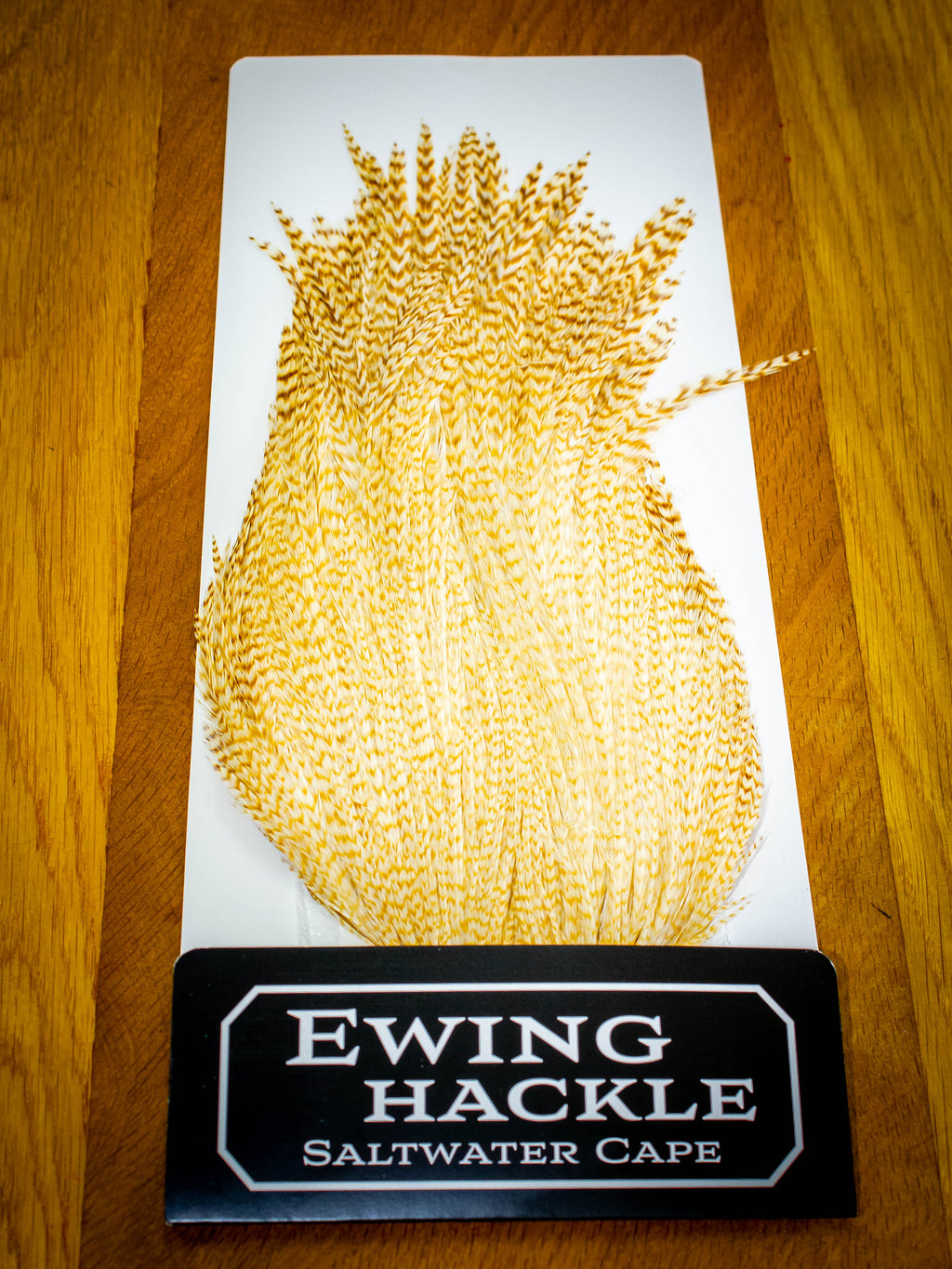 EWING SALTWATER CAPE