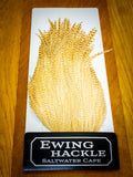 EWING SALTWATER CAPE