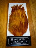 EWING SALTWATER CAPE