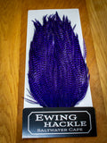 EWING SALTWATER CAPE