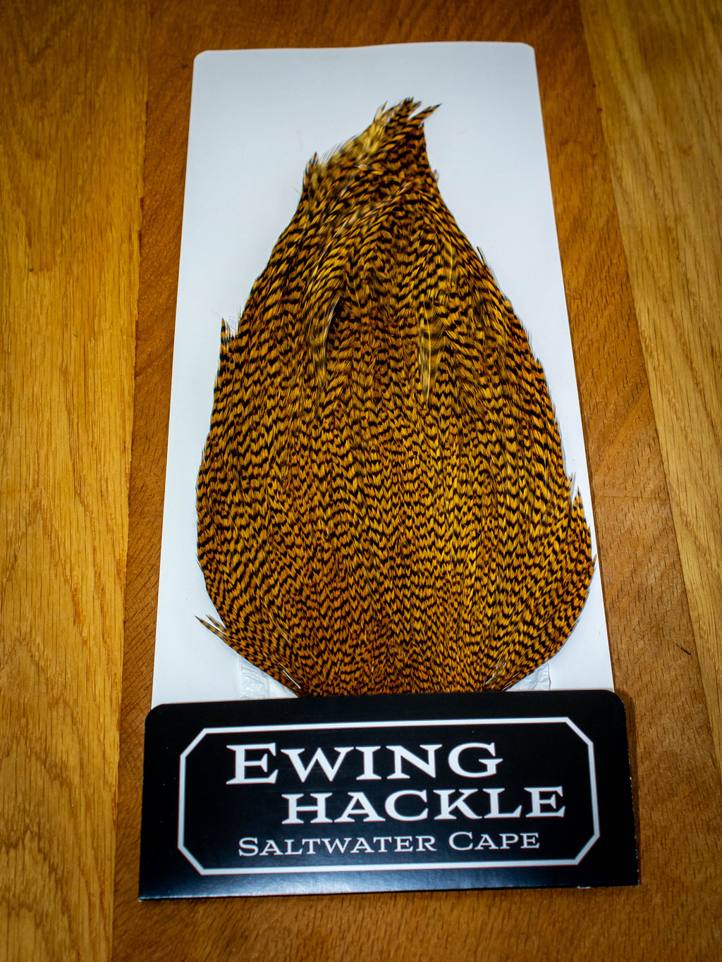 EWING SALTWATER CAPE