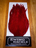 EWING SALTWATER CAPE