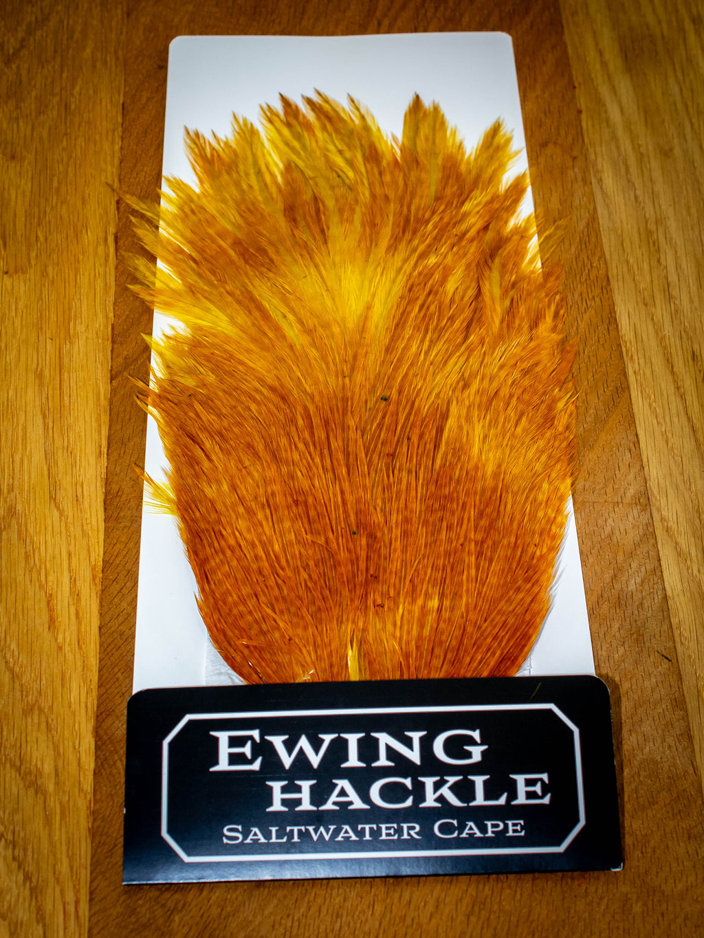 EWING SALTWATER CAPE