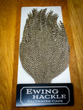 EWING SALTWATER CAPE