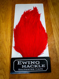 EWING SALTWATER CAPE