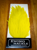 EWING SALTWATER CAPE