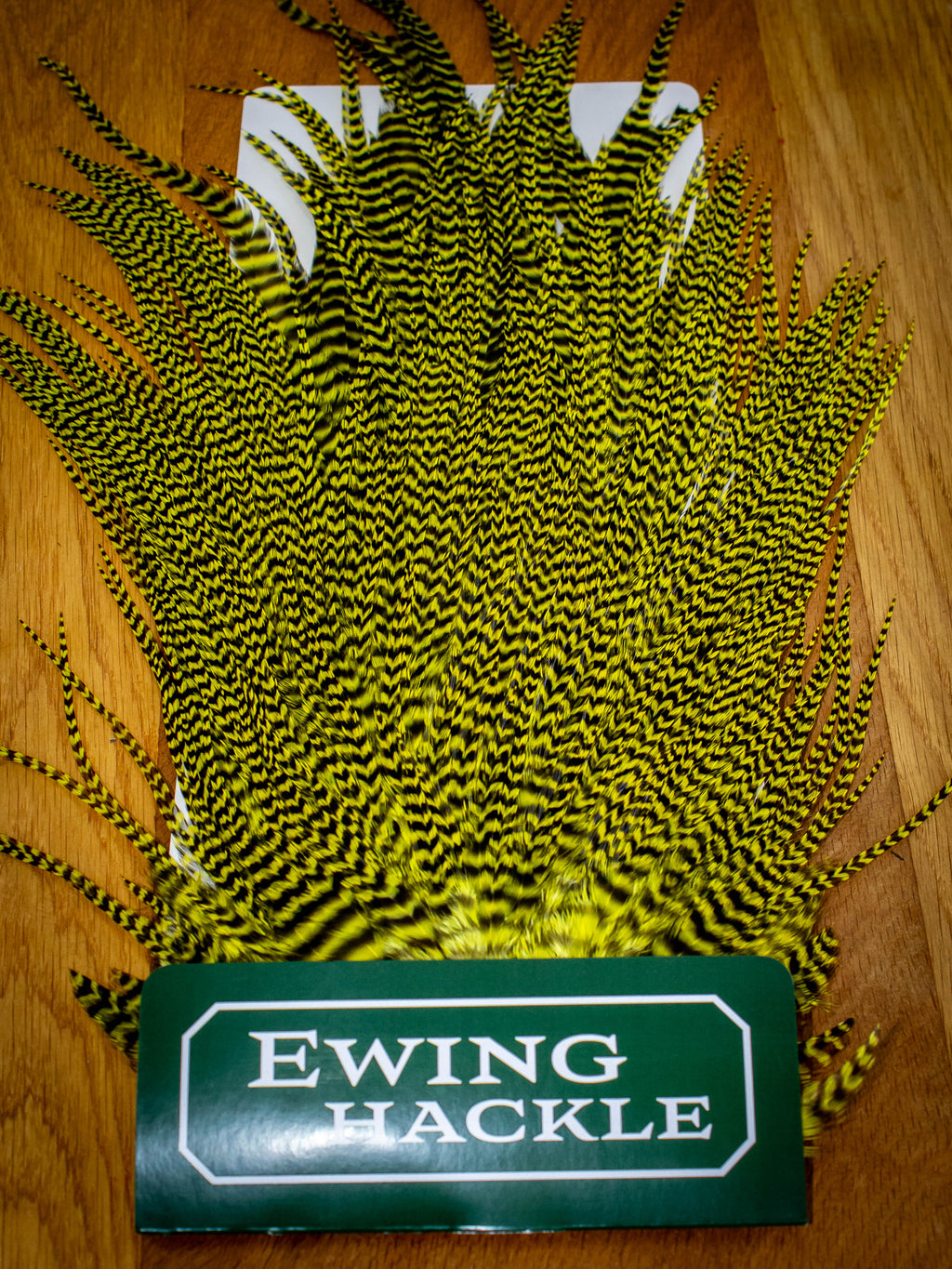 EWING STANDARD SADDLES