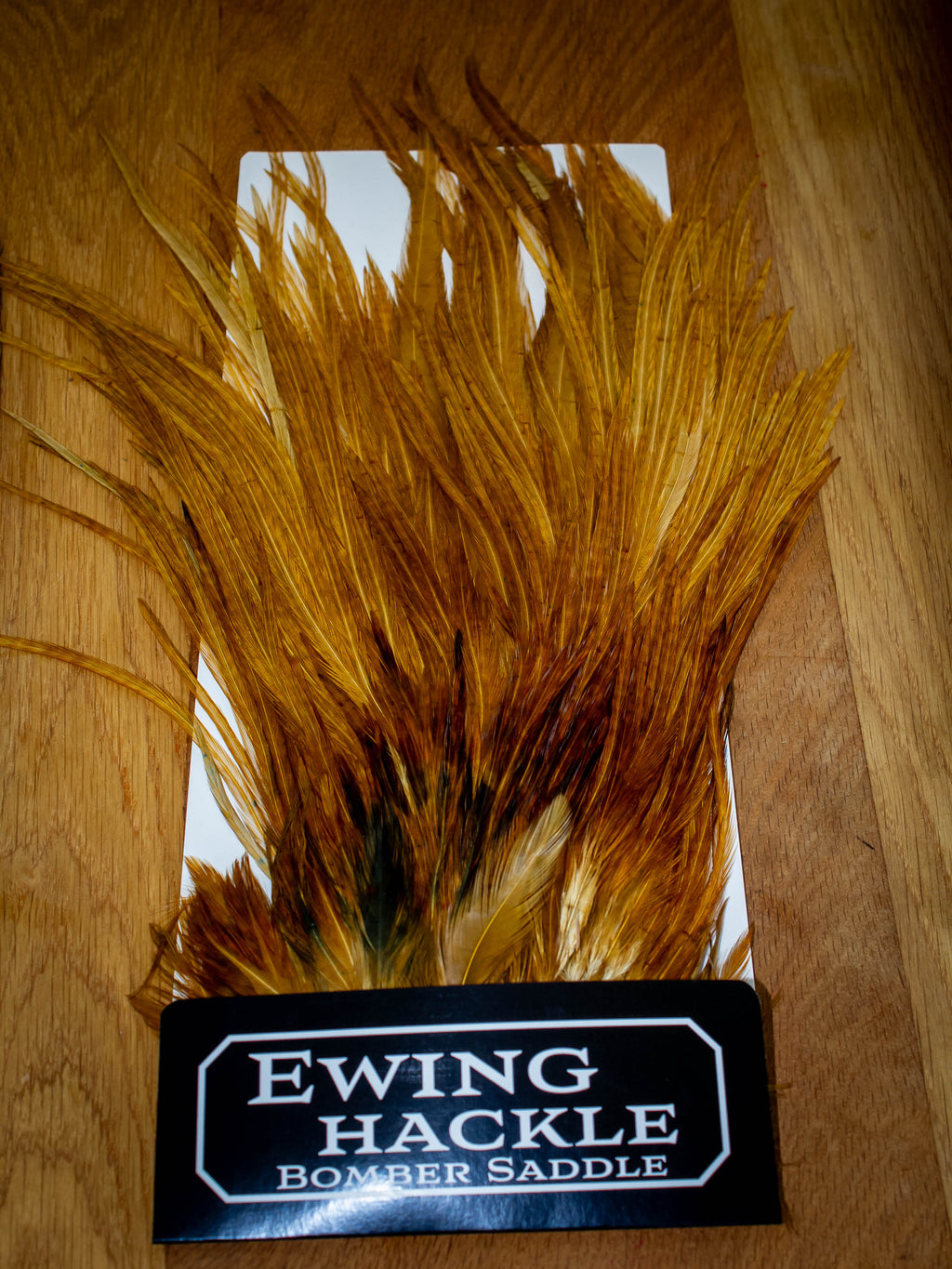 EWING BOMBER SADDLES
