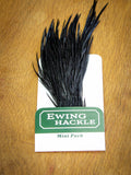 EWING HACKLE MINI PACK