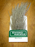 EWING HACKLE MINI PACK