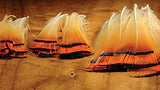 PHEASANT GOLDEN TIPPETS