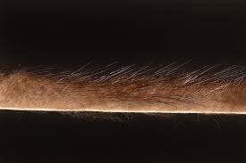 GRIP MINK ZONKER