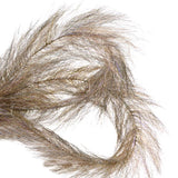 H2O STREAMER BRUSH 2"