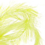 H2O STREAMER BRUSH 2"