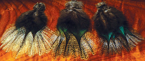 HARELINE COQ DE LEON