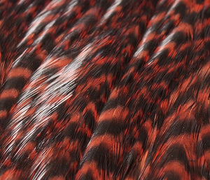 HARELINE HEN CAPE