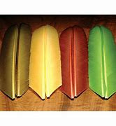 HARELINE TURKEY BIOT QUILLS