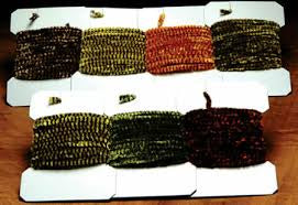 HARELINE VARIEGATED CHENILLE