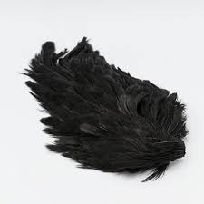 HARELINE INDIAN HEN BACK