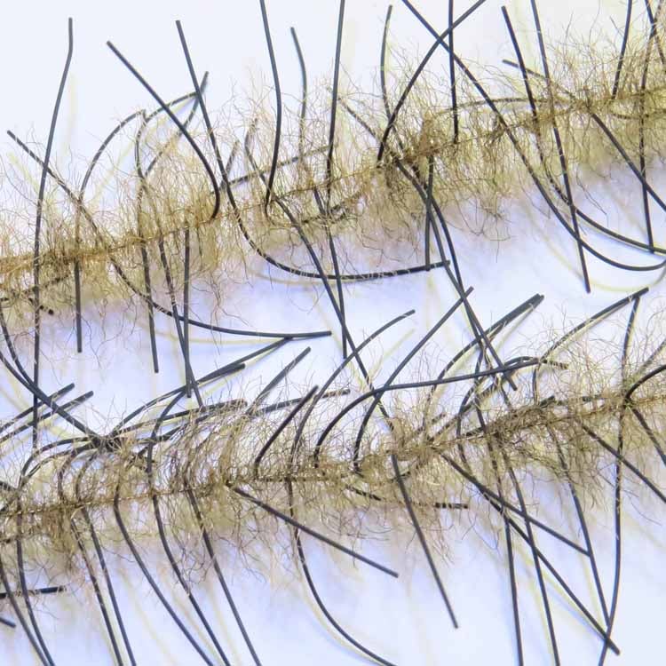 H2O LIVELY LEGS CRUSTACEAN BRUSH 1"