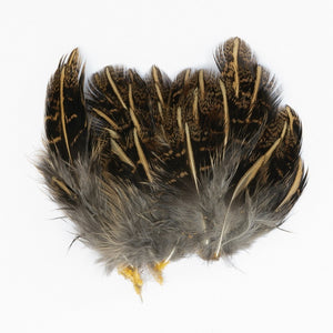VENIARD ENGLISH PARTRIDGE