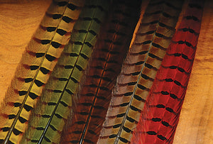 HARELINE RINGNECK PHEASANT TAIL FEATHERS