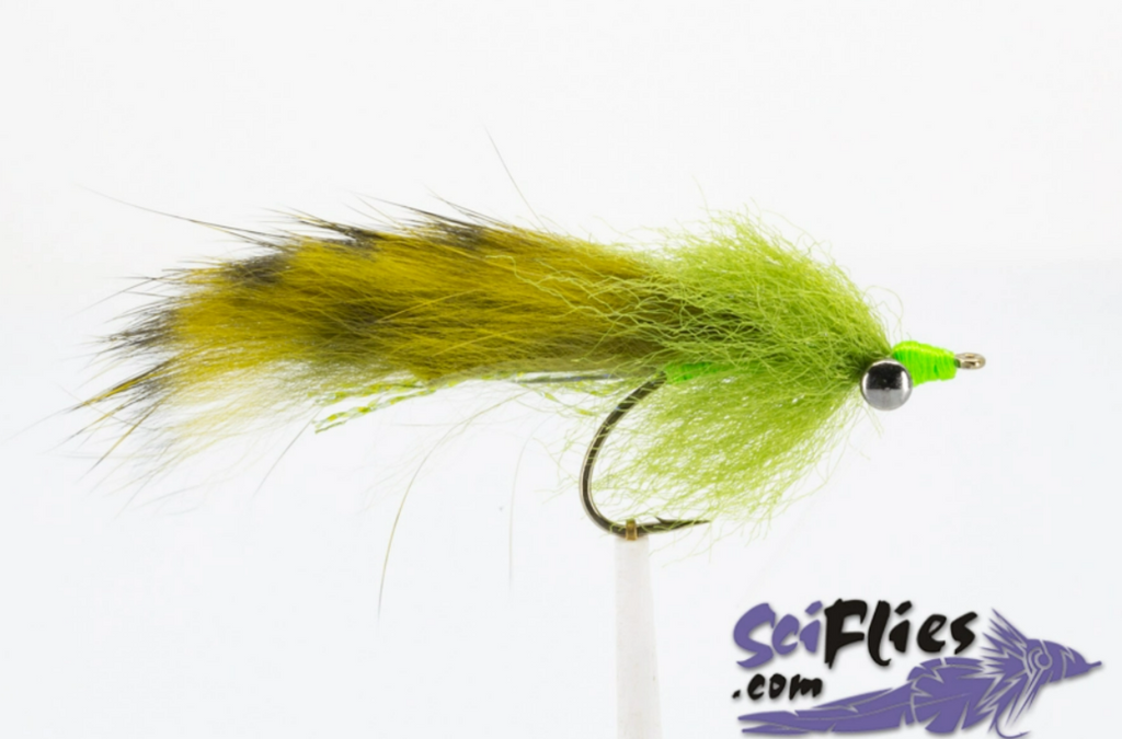 SCI FLIES LARGIE BRUSH FLY