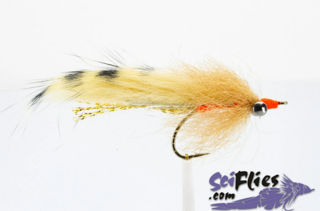 SCI FLIES LARGIE BRUSH FLY