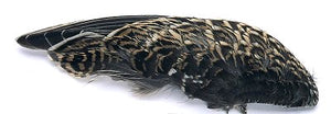 VENIARD SNIPE WING PAIRS