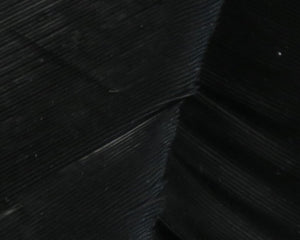 HARELINE TURKEY BIOT QUILLS