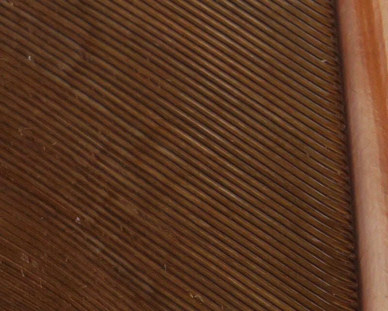 HARELINE TURKEY BIOT QUILLS