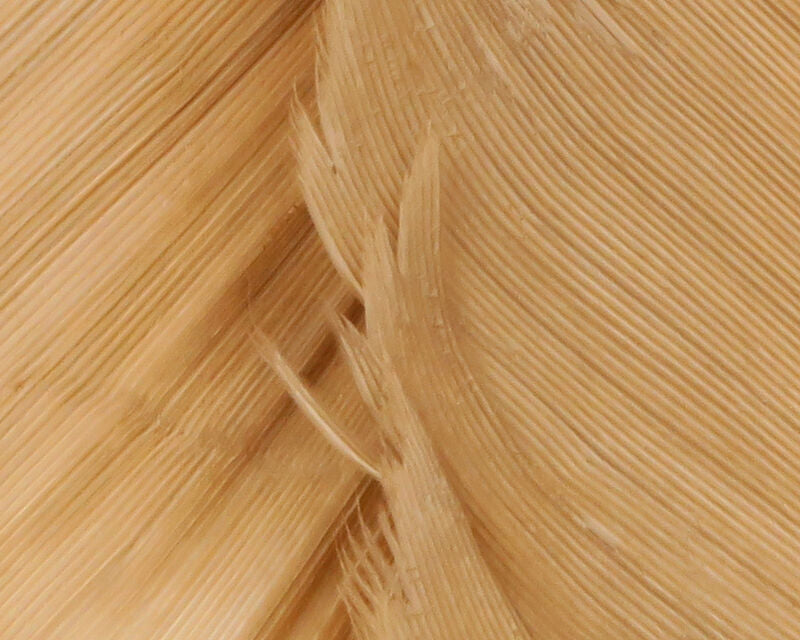 HARELINE TURKEY BIOT QUILLS